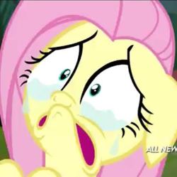 Size: 497x496 | Tagged: safe, screencap, fluttershy, pegasus, pony, filli vanilli, g4, season 4, all new, close-up, cropped, crying, faic, female, fluttercry, mare, sad, solo, teary eyes, text