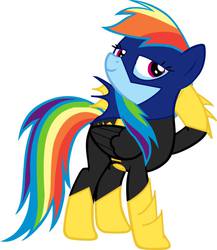 Size: 833x959 | Tagged: artist needed, safe, rainbow dash, pegasus, pony, g4, batgirl, dc comics, female, hooves, mare, simple background, smiling, solo, vector, white background, wings