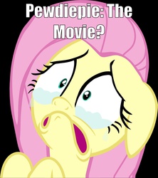 Size: 1215x1369 | Tagged: safe, fluttershy, g4, female, image macro, meme, pewdiepie, solo