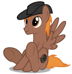 Size: 881x906 | Tagged: safe, artist:mrlolcats17, oc, oc only, oc:calamity, pegasus, pony, fallout equestria, brand, cute, fanfic, fanfic art, hat, male, simple background, solo, stallion, transparent background, wings