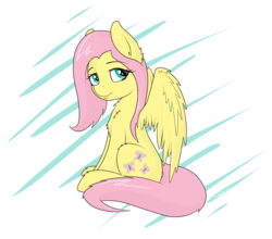 Size: 4186x3683 | Tagged: safe, artist:strachattack, fluttershy, g4, chest fluff, female, fluffy, solo