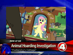 Size: 800x600 | Tagged: safe, fluttershy, harry, bat, duck, owl, raccoon, g4, news, news report