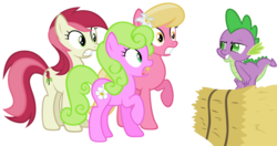 Size: 1280x675 | Tagged: safe, hundreds of users filter this tag, daisy, flower wishes, lily, lily valley, roseluck, spike, dragon, earth pony, pony, g4, flower trio, hay bale, show accurate, simple background, transparent background