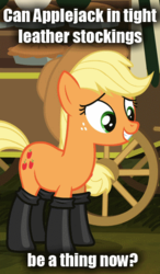 Size: 298x512 | Tagged: safe, edit, edited screencap, screencap, applejack, earth pony, pony, g4, somepony to watch over me, boots, caption, female, fireproof boots, image macro, leather, mare, meme, solo