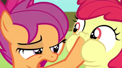Size: 640x355 | Tagged: safe, screencap, apple bloom, scootaloo, g4, somepony to watch over me, hoof in mouth, puffy cheeks