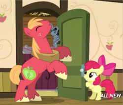 Size: 425x363 | Tagged: safe, apple bloom, big macintosh, smarty pants, earth pony, pony, g4, somepony to watch over me, apple closet, male, stallion