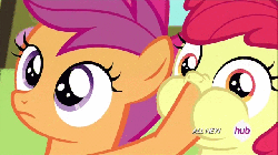 Size: 640x360 | Tagged: safe, screencap, apple bloom, scootaloo, g4, somepony to watch over me, animated, female, hoof in mouth
