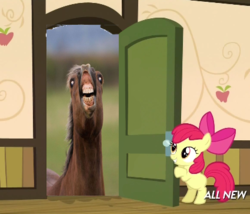 Size: 425x363 | Tagged: safe, apple bloom, horse, g4, my little pony: friendship is magic, somepony to watch over me, apple closet, exploitable meme, flehmen response, hoers, horses doing horse things, nightmare fuel