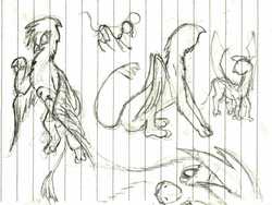 Size: 1602x1203 | Tagged: safe, artist:ponescribbles, gilda, griffon, g4, lined paper, sketch, sketch dump, traditional art