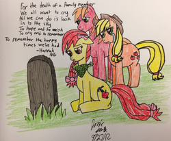 Size: 777x640 | Tagged: safe, artist:rainbow-pastel, apple bloom, applejack, big macintosh, earth pony, pony, g4, grave, male, stallion, traditional art