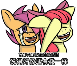 Size: 707x607 | Tagged: safe, artist:sonicdramon, apple bloom, scootaloo, earth pony, pegasus, pony, g4, chinese, chinese meme, crying, duo
