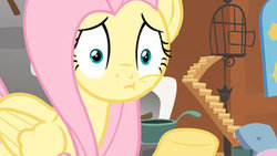Size: 300x169 | Tagged: safe, screencap, fluttershy, pony, g4, putting your hoof down, female, flash game, flutterbuse, game, solo