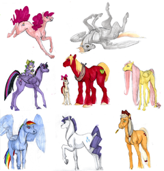 Size: 1200x1250 | Tagged: safe, artist:tsebresos, apple bloom, applejack, big macintosh, derpy hooves, fluttershy, pinkie pie, rainbow dash, rarity, spike, twilight sparkle, alicorn, dragon, earth pony, horse, pony, unicorn, g4, female, filly, floppy ears, frown, glare, grin, horses doing horse things, legs in air, male, mane seven, mane six, mare, mouth hold, on back, raised hoof, realistic, rolling, running, smiling, spread wings, stallion, straw, traditional art, twilight sparkle (alicorn), underhoof, walking