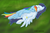 Size: 539x353 | Tagged: safe, artist:metroplizer, rainbow dash, soarin', g4, cuddling, eyes closed, female, male, old cutie mark, ship:soarindash, shipping, sleeping, smiling, snuggling, straight