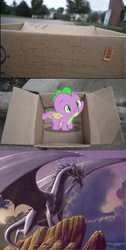 Size: 502x1000 | Tagged: safe, spike, dragon, g4, baby spike, bahamut, dashie meme, dungeons and dragons, exploitable meme, forgotten realms, good people finding spike meme, meme, my little spikie