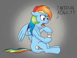 Size: 3264x2448 | Tagged: safe, artist:rainbow-dosh, rainbow dash, g4, female, high res, pill bottle, solo