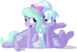 Size: 3349x2282 | Tagged: safe, artist:furrgroup, cloudchaser, flitter, pegasus, pony, g4, duo, high res, looking at each other, open mouth, simple background, sitting, smiling