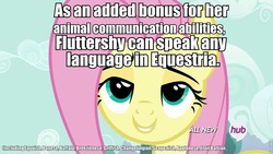 Size: 960x540 | Tagged: safe, fluttershy, breezie, buffalo, changeling, fruit bat, griffon, sea pony, seapony (g4), friendship is witchcraft, g4, bedroom eyes, cute from the hip, female, headcanon, image macro, language, linguist, meme, solo