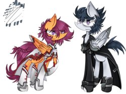 Size: 5798x4340 | Tagged: safe, artist:scootaloocuteness, rumble, scootaloo, pegasus, pony, g4, absurd resolution, duo, older, sword art online