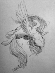 Size: 2448x3264 | Tagged: safe, artist:nannoot, fluttershy, g4, female, high res, monochrome, solo, traditional art