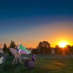Size: 768x768 | Tagged: safe, princess celestia, twilight sparkle, g4, irl, photo, ponies in real life, sunset