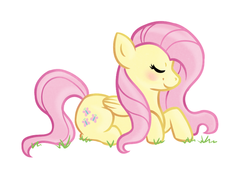 Size: 800x552 | Tagged: safe, artist:tessiursa, fluttershy, g4, female, solo