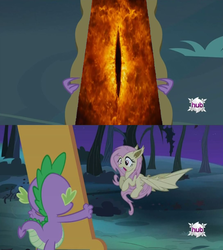 Size: 913x1024 | Tagged: safe, fluttershy, bat pony, pony, bats!, g4, my little pony: friendship is magic, exploitable meme, eye of sauron, flutterbat, flutterbat's mirror, lord of the rings, meme, mirror, race swap, sauron