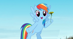 Size: 1920x1040 | Tagged: safe, rainbow dash, g4, crossover, dandelion, irl, movie, photo, ponies in real life, solo