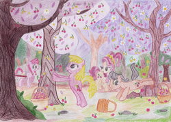 Size: 900x641 | Tagged: safe, artist:applejane218, cherry berry, cherry cola, cherry fizzy, cherry jubilee, oc, oc:cherrietta, earth pony, pony, g4, aunt jemima, background pony, bucking, cherry, cherry blossoms, cherry orchard, cherry tree, female, flower, flower blossom, harvest, male, mare, orchard, parent:cherry jubilee, pencil drawing, stallion, traditional art, tree, tree bucking, yellow cherry