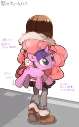 Size: 500x800 | Tagged: safe, artist:amiamid, twilight sparkle, human, g4, female, japanese, plushie