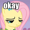 Size: 100x100 | Tagged: safe, fluttershy, g4, female, image macro, meme, picture for breezies, scrunchy face, solo