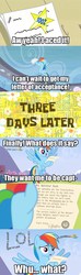 Size: 480x1620 | Tagged: safe, rainbow dash, spitfire, g4, my little pony: friendship is magic, testing testing 1-2-3, bad end, comic, exploitable meme, letter meme, meme, my pretty seahorse, out of context, spongebob squarepants, spongebob time card, trolling