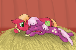 Size: 2341x1567 | Tagged: safe, artist:amandaam, big macintosh, cheerilee, earth pony, pony, g4, blushing, eyes closed, lying, male, ship:cheerimac, shipping, smiling, stallion, straight