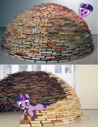 Size: 499x651 | Tagged: safe, twilight sparkle, g4, book fort, irl, photo, ponies in real life