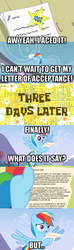 Size: 480x1620 | Tagged: safe, rainbow dash, g4, my little pony: friendship is magic, testing testing 1-2-3, cease and desist, exploitable meme, letter meme, meme, my pretty seahorse, out of context, parody, spongebob squarepants, spongebob time card