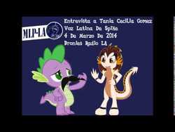 Size: 480x360 | Tagged: safe, spike, g4, dragonified, spanish, tania cecilia gomez, translated in the description, voice actor
