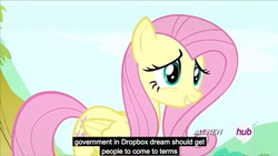 Size: 1274x719 | Tagged: safe, screencap, fluttershy, g4, maud pie (episode), my little pony: friendship is magic, dropbox, female, government, hub logo, meme, solo, youtube caption