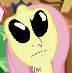 Size: 366x372 | Tagged: safe, edit, edited screencap, screencap, fluttershy, alien, g4, stare master, alien eyes, ambiguous gender, ayy lmao, gray, nightmare fuel, not salmon, solo, uma, void eyes, wat, what horrors have been unleashed