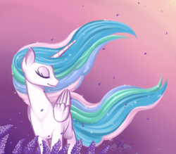 Size: 800x700 | Tagged: safe, artist:floofurr, princess celestia, alicorn, pony, g4, eyes closed, female, flower, gradient background, mare, solo, windswept mane