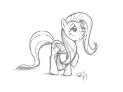 Size: 2400x1800 | Tagged: safe, artist:yikomega, fluttershy, g4, female, monochrome, sketch, solo