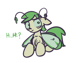 Size: 611x493 | Tagged: artist needed, safe, oc, oc only, mothpony, original species, solo