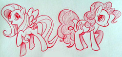 Size: 2688x1257 | Tagged: safe, artist:naara-ashley, fluttershy, pinkie pie, g4, traditional art