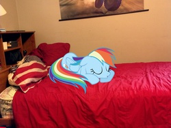 Size: 2592x1944 | Tagged: safe, rainbow dash, g4, bed, cute, irl, photo, ponies in real life, sleeping, solo