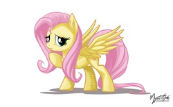 Size: 2560x1600 | Tagged: safe, artist:mysticalpha, fluttershy, g4, female, looking at you, nervous, shy, simple background, solo, spread wings, wallpaper