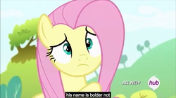 Size: 1279x718 | Tagged: safe, screencap, boulder (g4), fluttershy, g4, maud pie (episode), female, hub logo, meme, solo, youtube caption