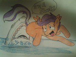 Size: 1024x768 | Tagged: artist needed, safe, scootaloo, shark, g4, traditional art