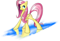 Size: 3312x2288 | Tagged: safe, artist:shadefox, fluttershy, g4, female, high res, solo