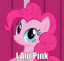 Size: 731x698 | Tagged: safe, pinkie pie, earth pony, pony, g4, captain obvious, cute, diapinkes, female, image macro, looking at you, mare, meme, pink, pinkest pie, shaped like itself, smiling, solo