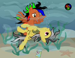 Size: 3300x2550 | Tagged: safe, artist:kyoshyu, daring do, oc, oc:bucolique, pegasus, pony, g4, bubble, high res, male, stallion, underwater