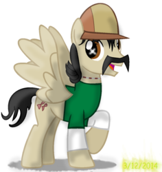 Size: 869x920 | Tagged: safe, artist:vetorhuskysamuria, pegasus, pony, hat, kenny, ponified, solo, the walking dead, the walking dead game